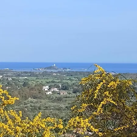 La Pecorella In Iun R3384 *