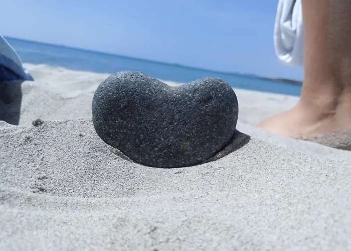 La Pecorella In Iun R3384 *