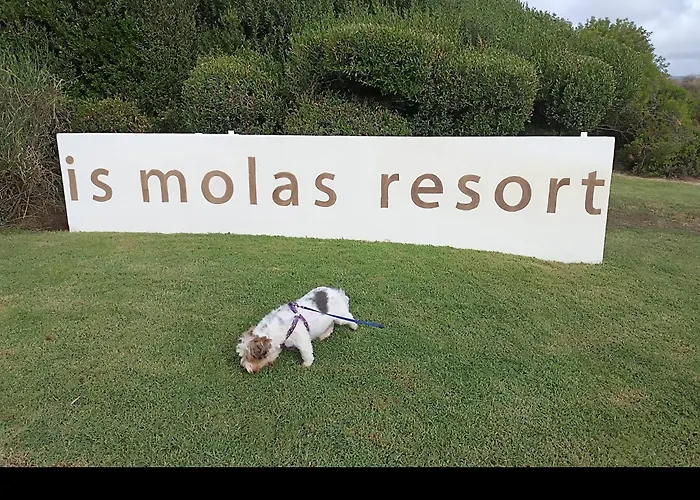 La Pecorella In Iun R3384