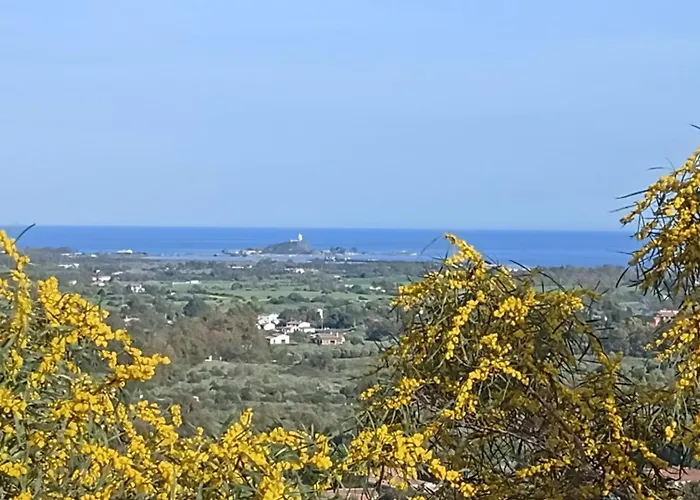 La Pecorella In Iun R3384 *